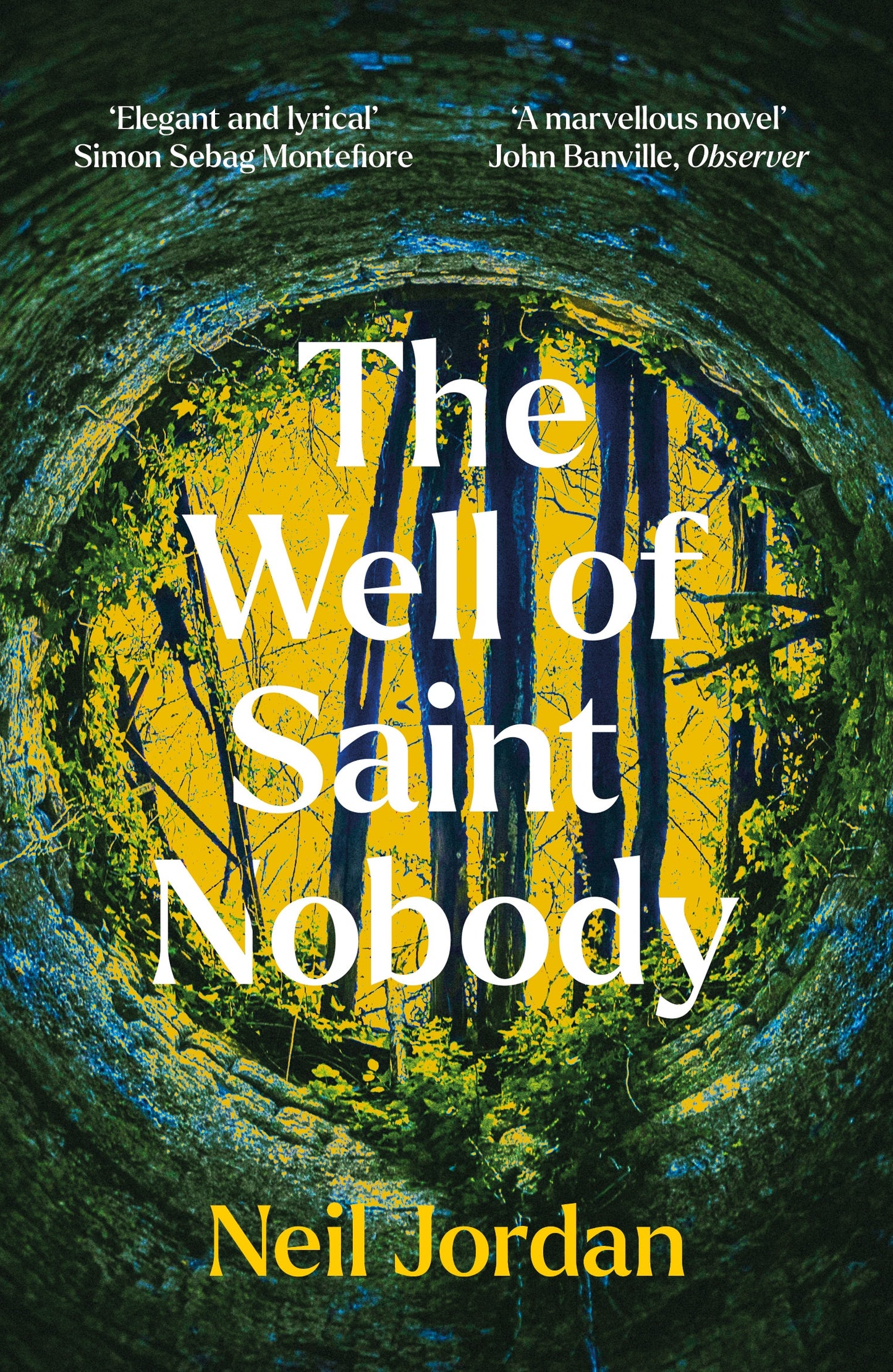 THE WELL OF SAINT NOBODY