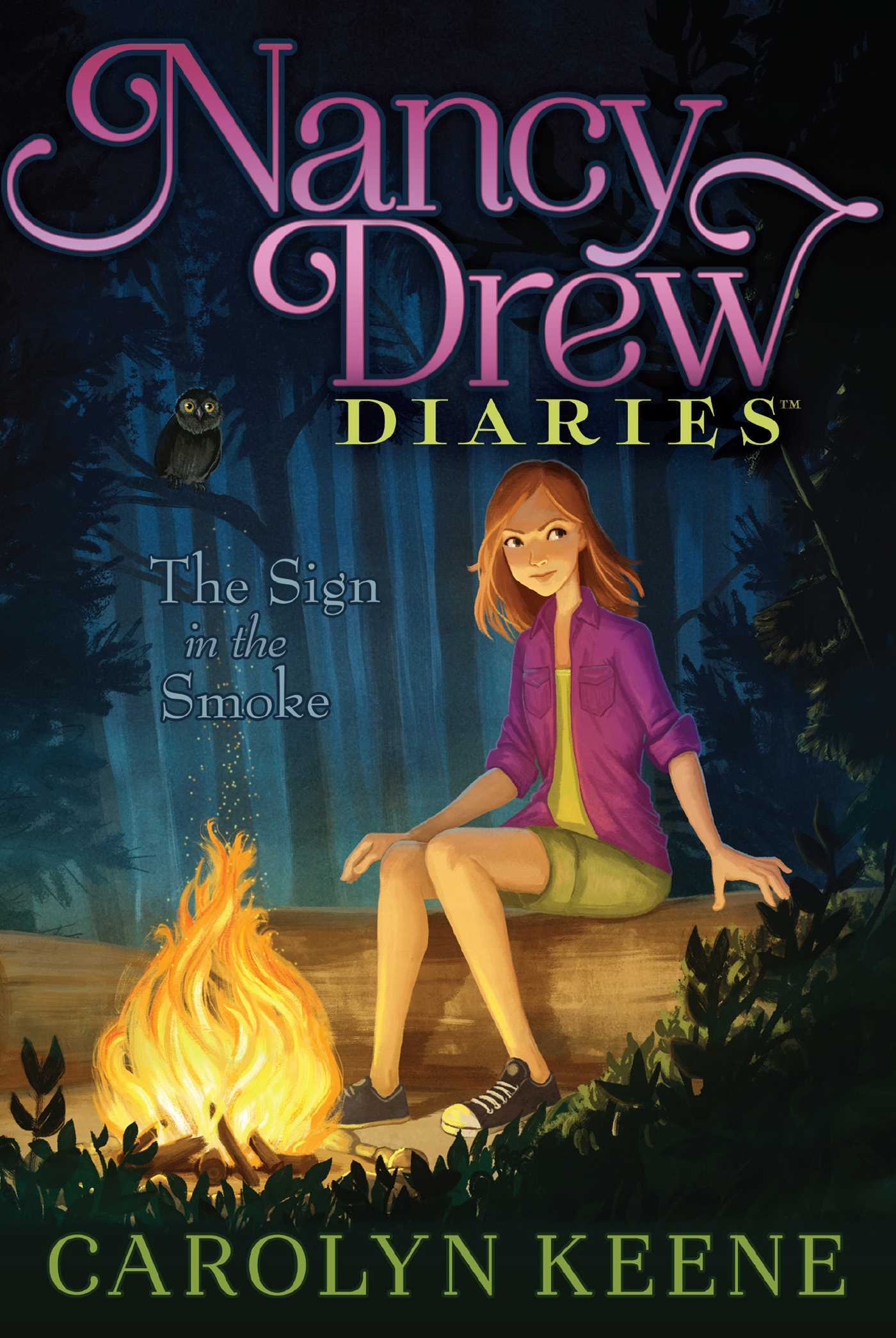 The Sign in the Smoke (12) : Nancy Drew Diaries #12