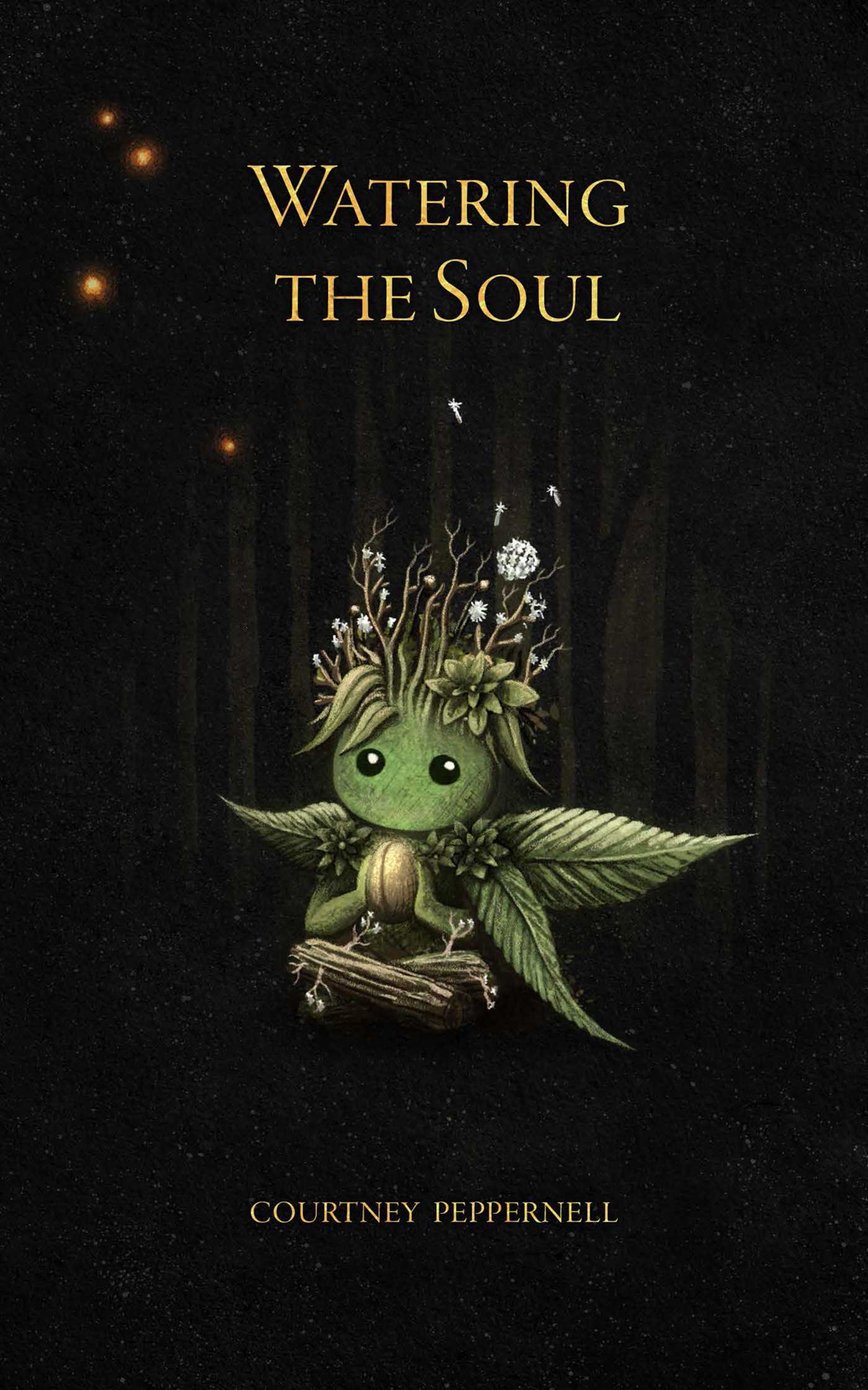 WATERING THE SOUL