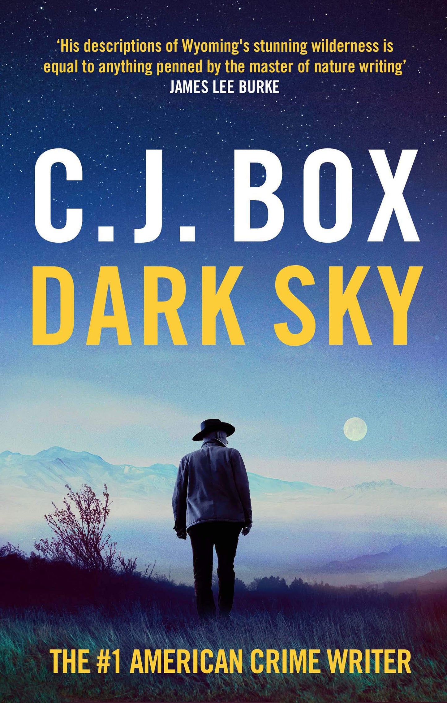 Dark Sky : Joe Pickett #21