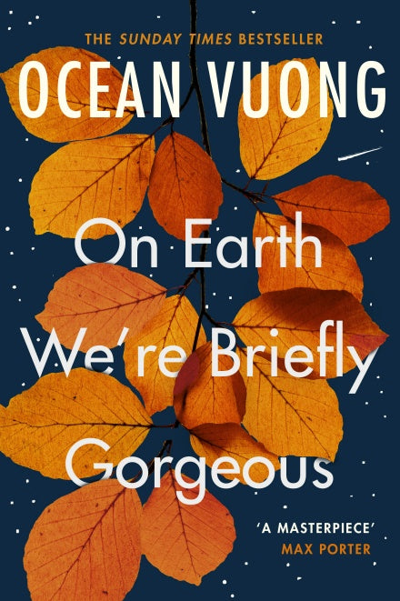 On Earth WeRe Briefly Gorgeous