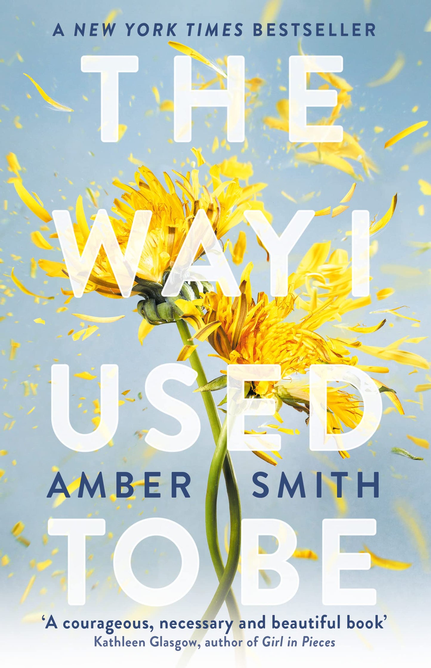 The Way I Used To Be : The Way I Used to Be #1
