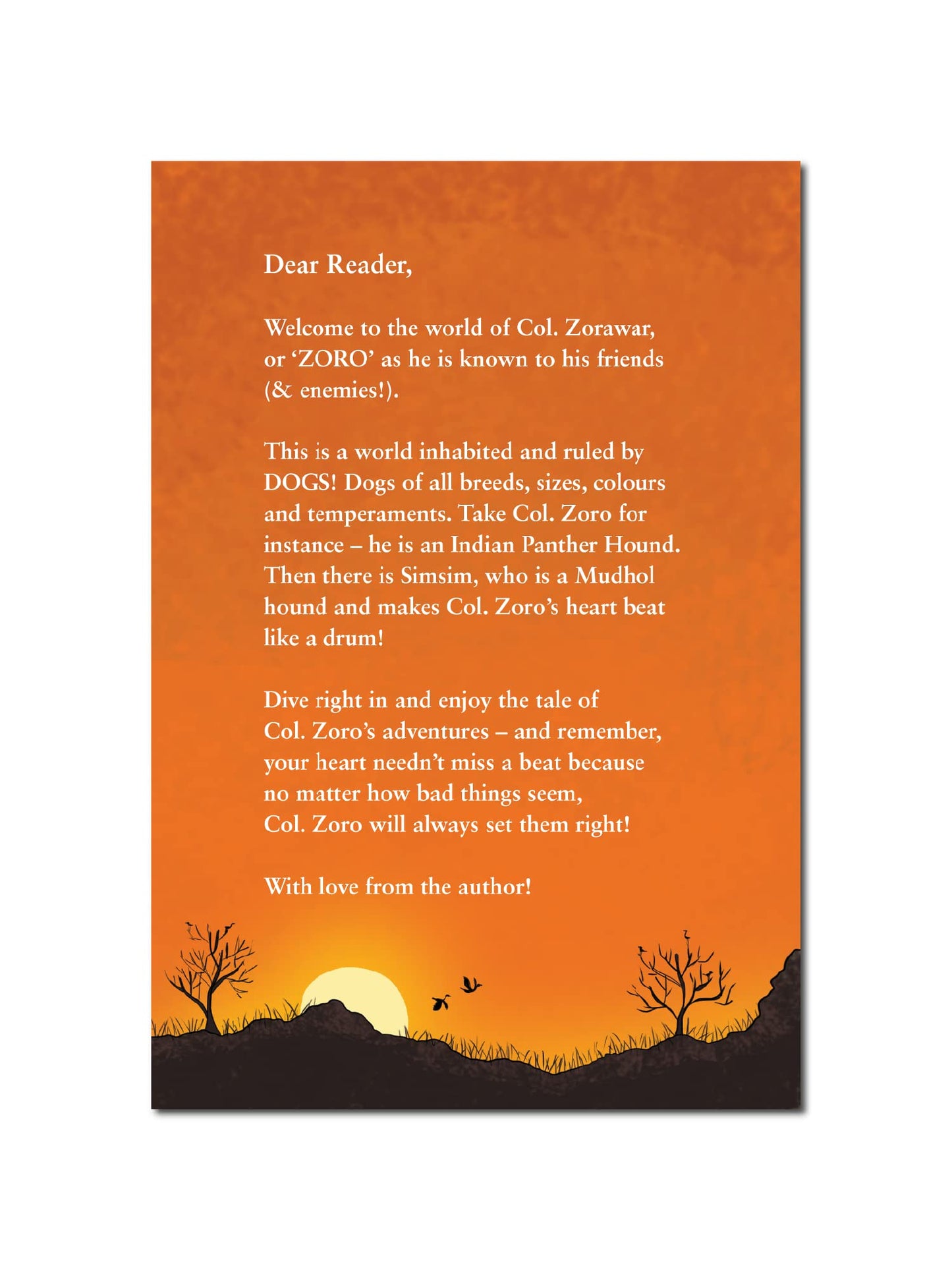 Col. Zoro Book 1 - Mystery of the Haunted Lake